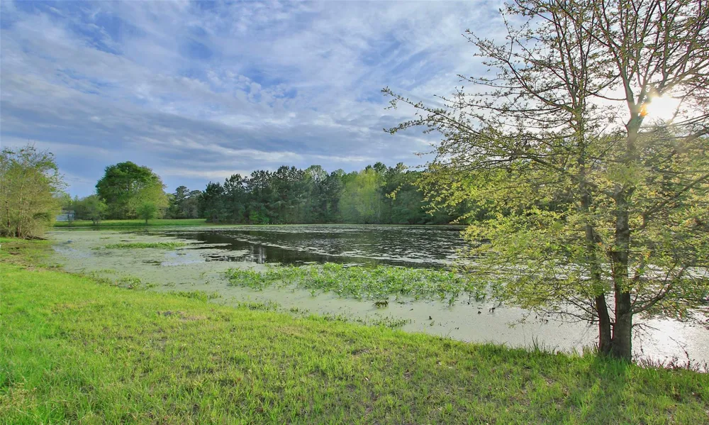 2735 Bobville Road Montgomery, TX 77316