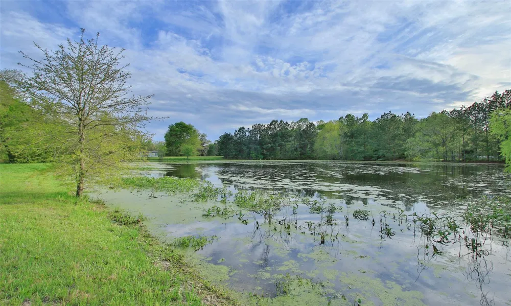 2735 Bobville Road Montgomery, TX 77316