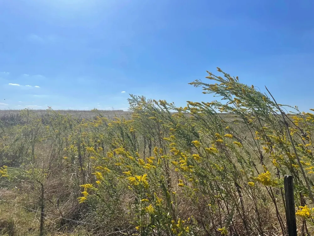 3809 County Road 384 Bartlett, TX 76511
