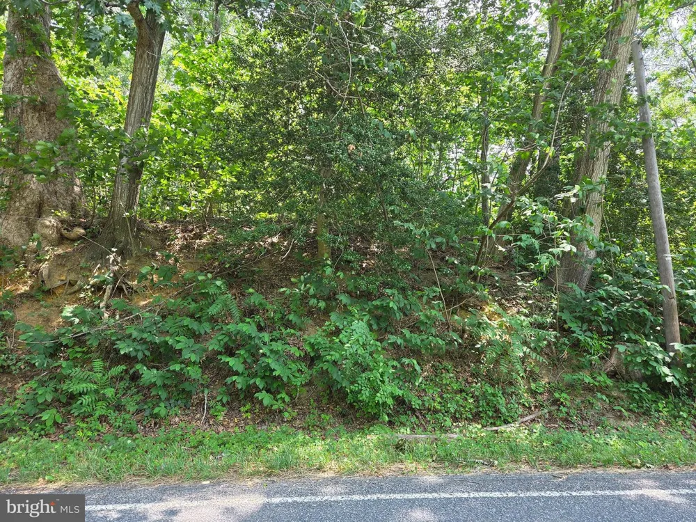 PROSPECT HILL ROAD Montross, VA 22520