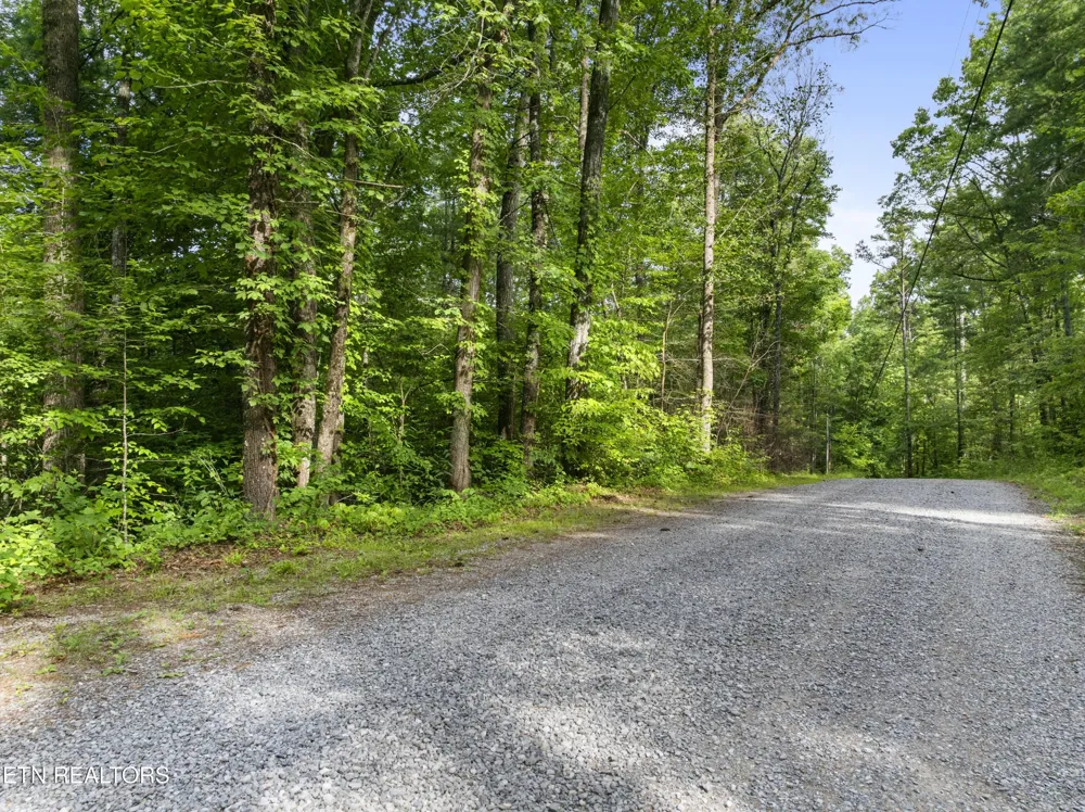 0 Grouse Top Rd Walland, TN 37886