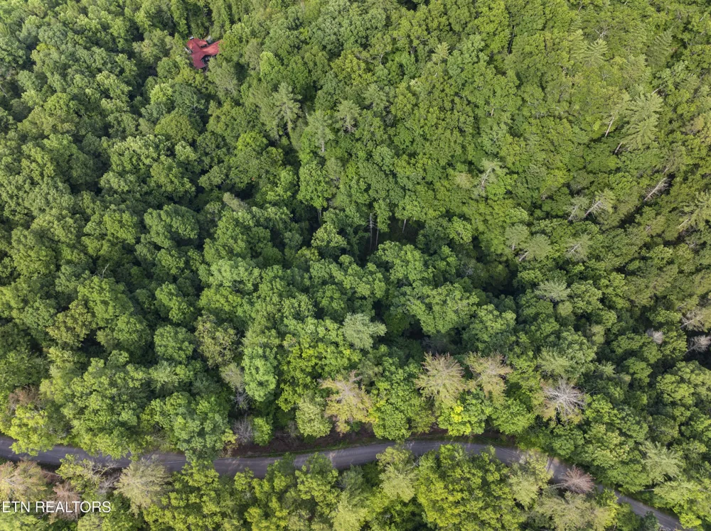 0 Grouse Top Rd Walland, TN 37886