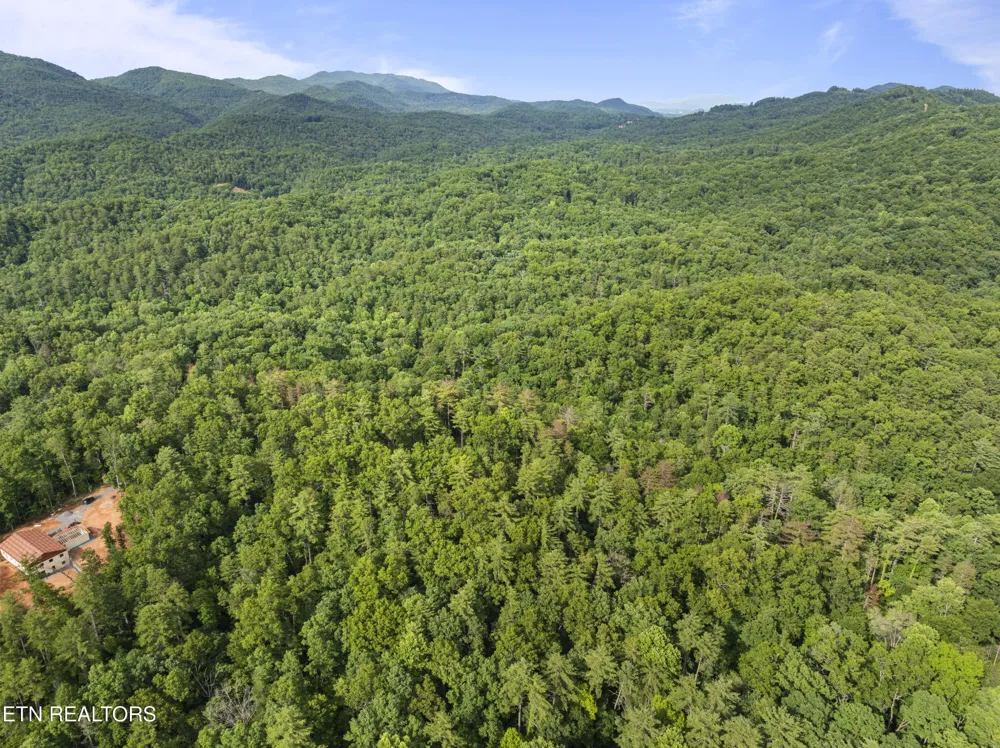 0 Grouse Top Rd Walland, TN 37886