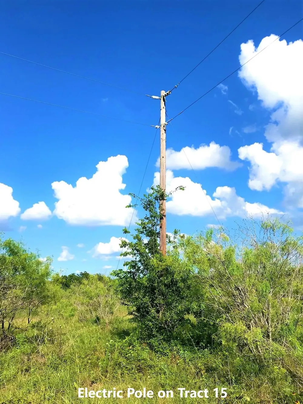 15 Hcr 3352 Hubbard, TX 76648