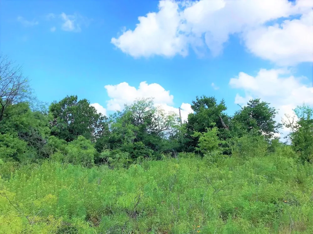 15 Hcr 3352 Hubbard, TX 76648