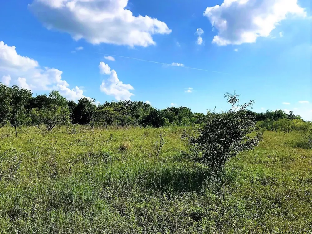 15 Hcr 3352 Hubbard, TX 76648