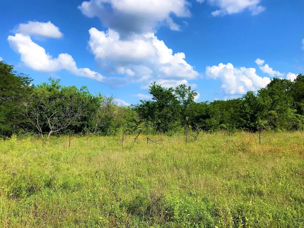 15 Hcr 3352 Hubbard, TX 76648