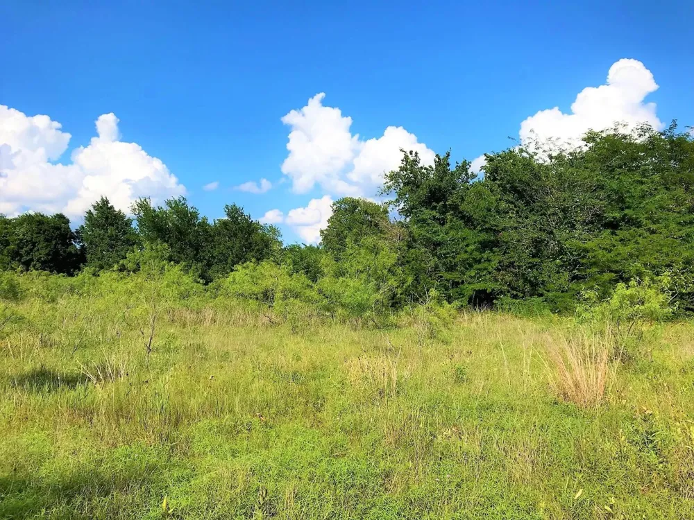 15 Hcr 3352 Hubbard, TX 76648