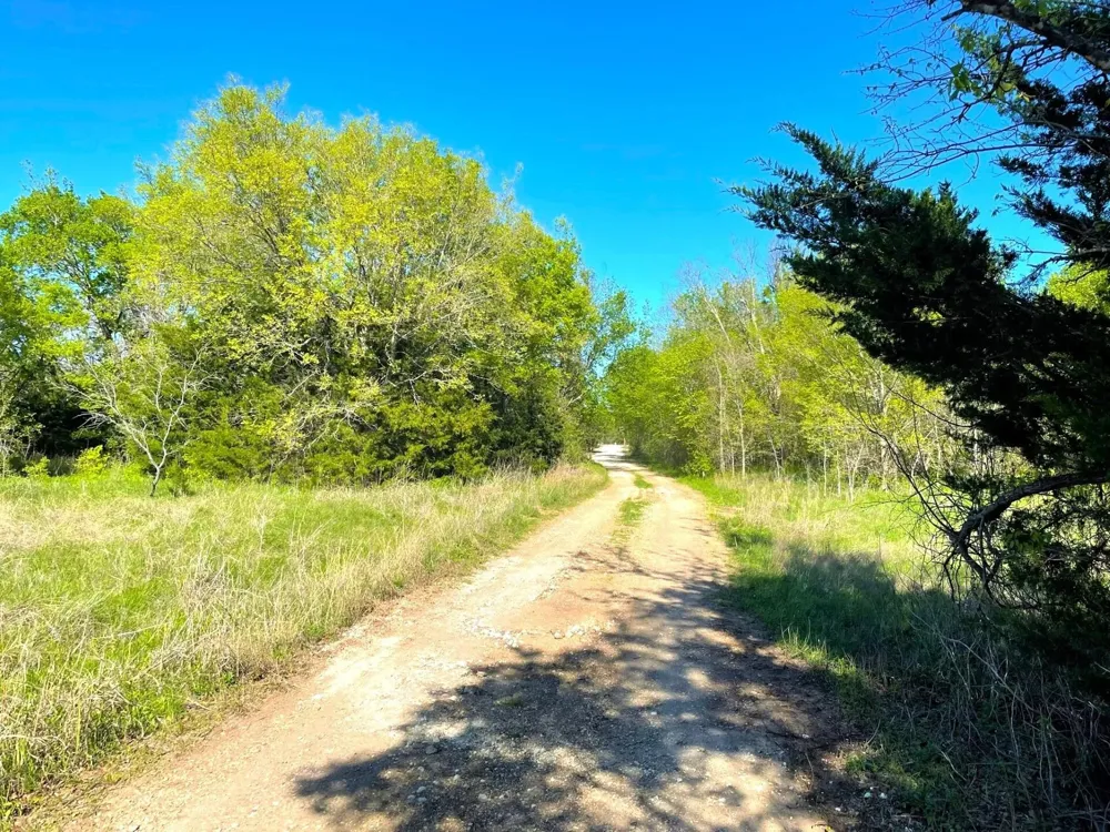 15 Hcr 3352 Hubbard, TX 76648