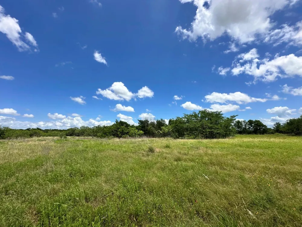 1127 Lcr 607 Groesbeck, TX 76642