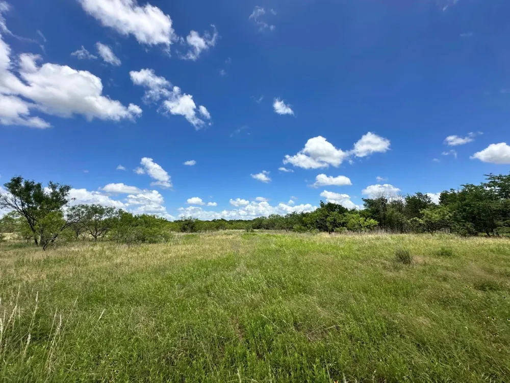 1127 Lcr 607 Groesbeck, TX 76642