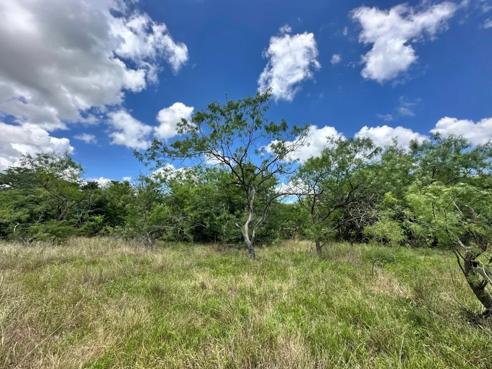 1127 Lcr 607 Groesbeck, TX 76642