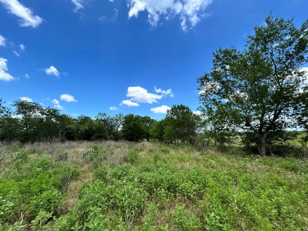 1127 Lcr 607 Groesbeck, TX 76642