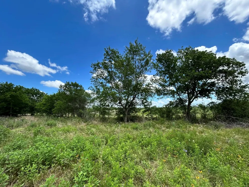 1127 Lcr 607 Groesbeck, TX 76642