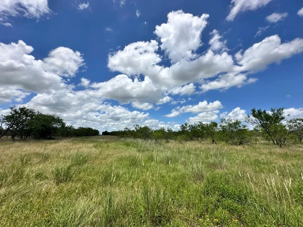 1127 Lcr 607 Groesbeck, TX 76642