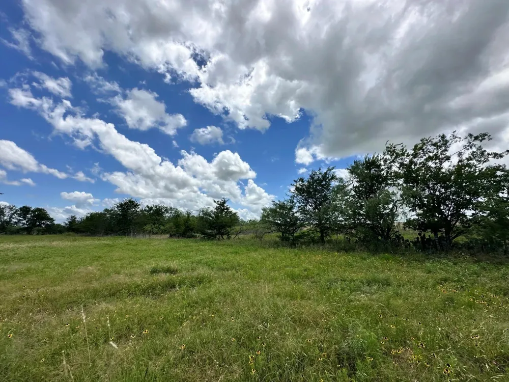 1127 Lcr 607 Groesbeck, TX 76642