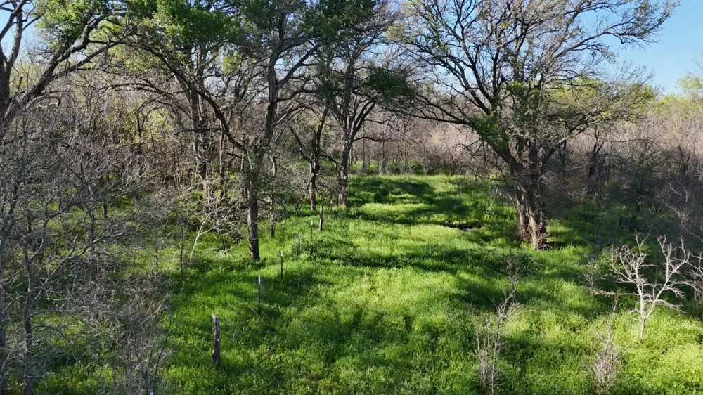 1127 Lcr 607 Groesbeck, TX 76642
