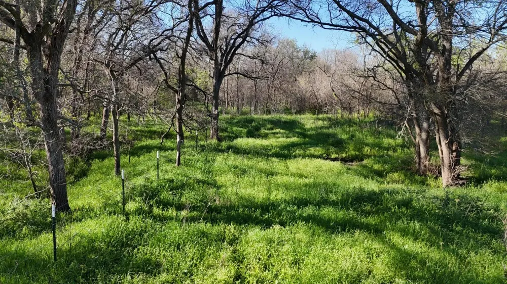 1127 Lcr 607 Groesbeck, TX 76642