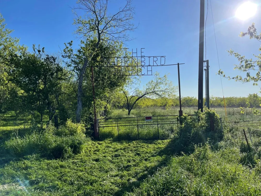 1127 Lcr 607 Groesbeck, TX 76642