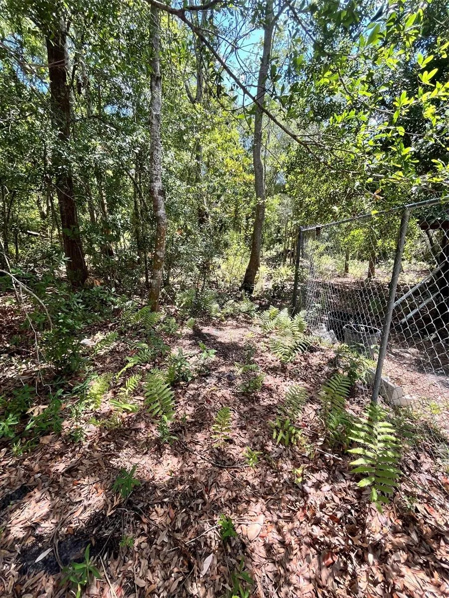 10907 ESTATES DEL SOL DRIVE Riverview, FL 33579