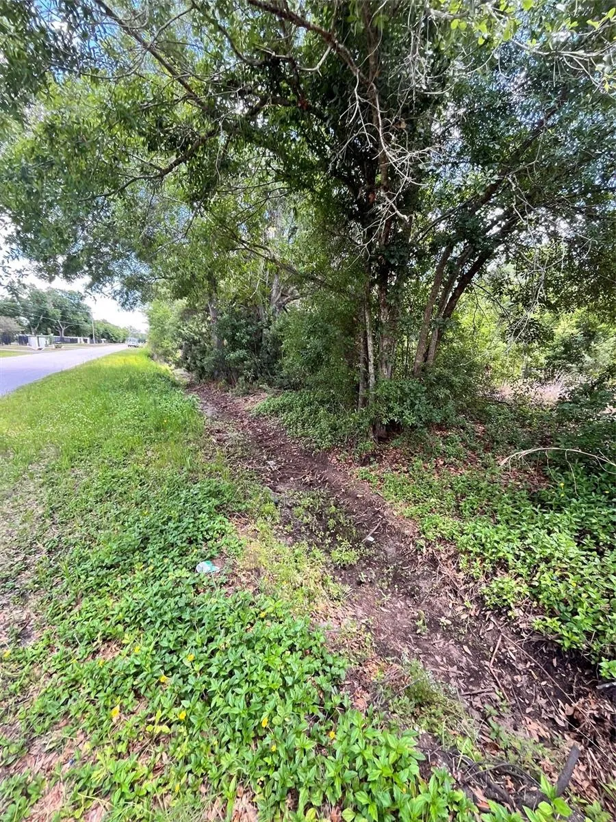 10907 ESTATES DEL SOL DRIVE Riverview, FL 33579