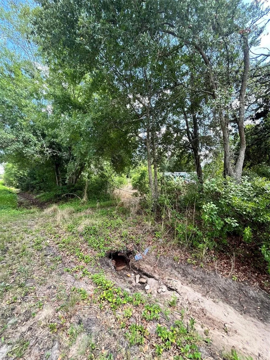 10907 ESTATES DEL SOL DRIVE Riverview, FL 33579