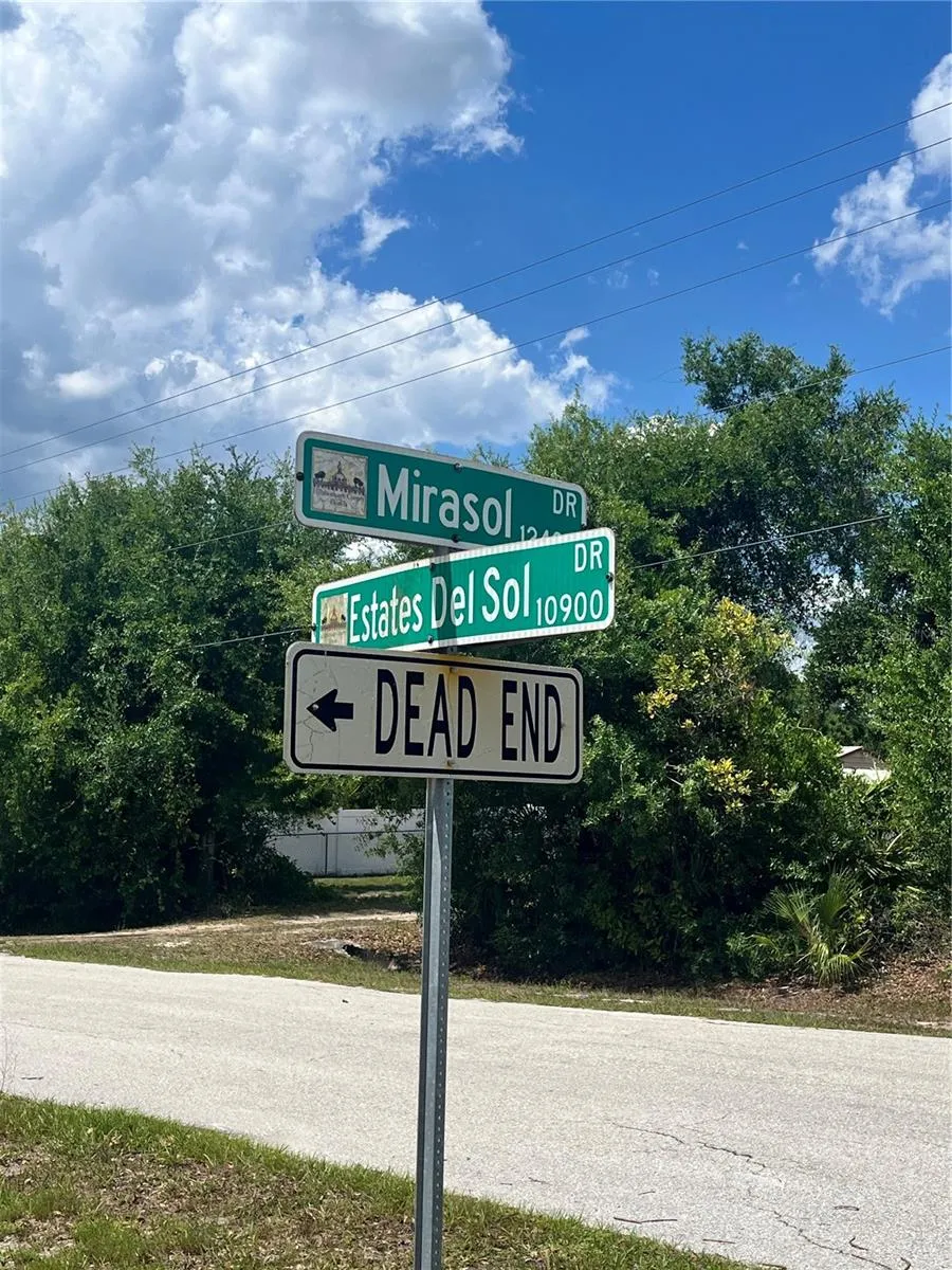 10907 ESTATES DEL SOL DRIVE Riverview, FL 33579