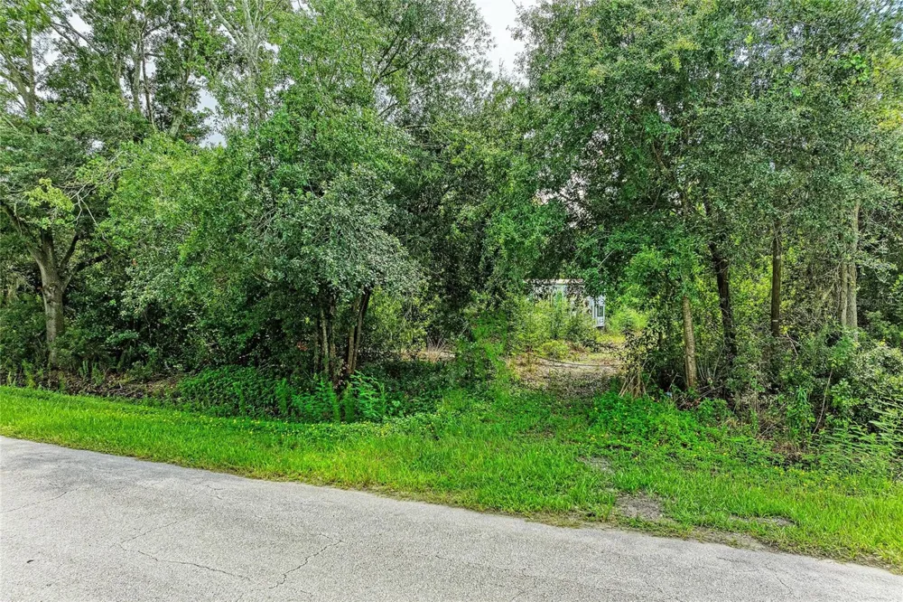 10907 ESTATES DEL SOL DRIVE Riverview, FL 33579