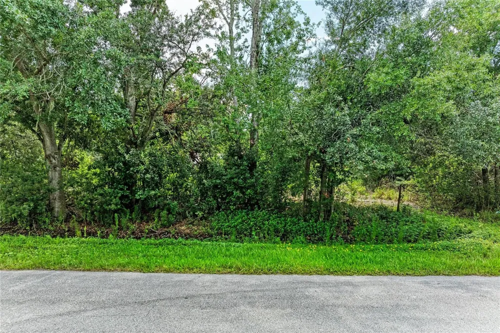 10907 ESTATES DEL SOL DRIVE Riverview, FL 33579