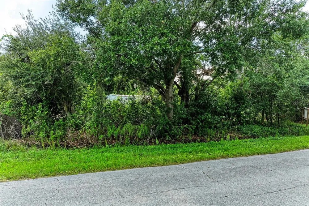 10907 ESTATES DEL SOL DRIVE Riverview, FL 33579