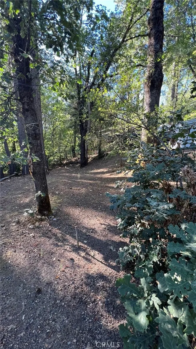 10537 Foothill Road Loch Lomond, CA 95461
