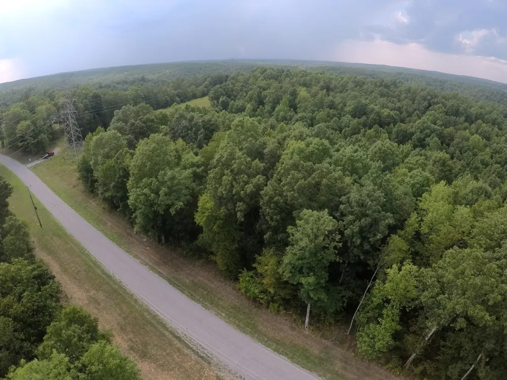 257 Saddlebrook Dr Hohenwald, TN 38462