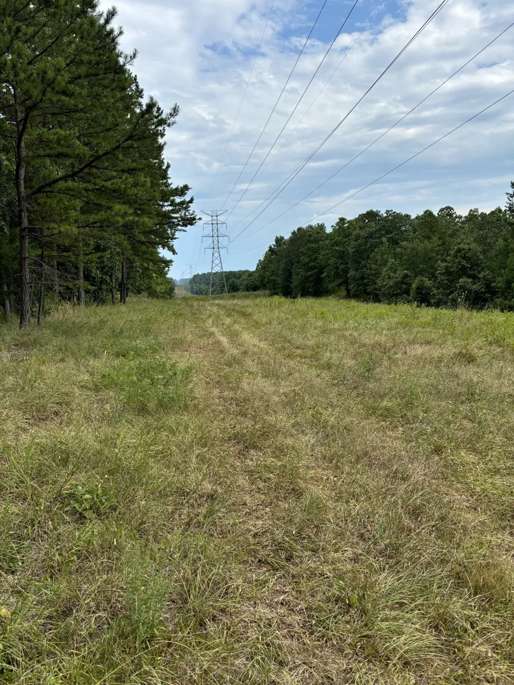 257 Saddlebrook Dr Hohenwald, TN 38462