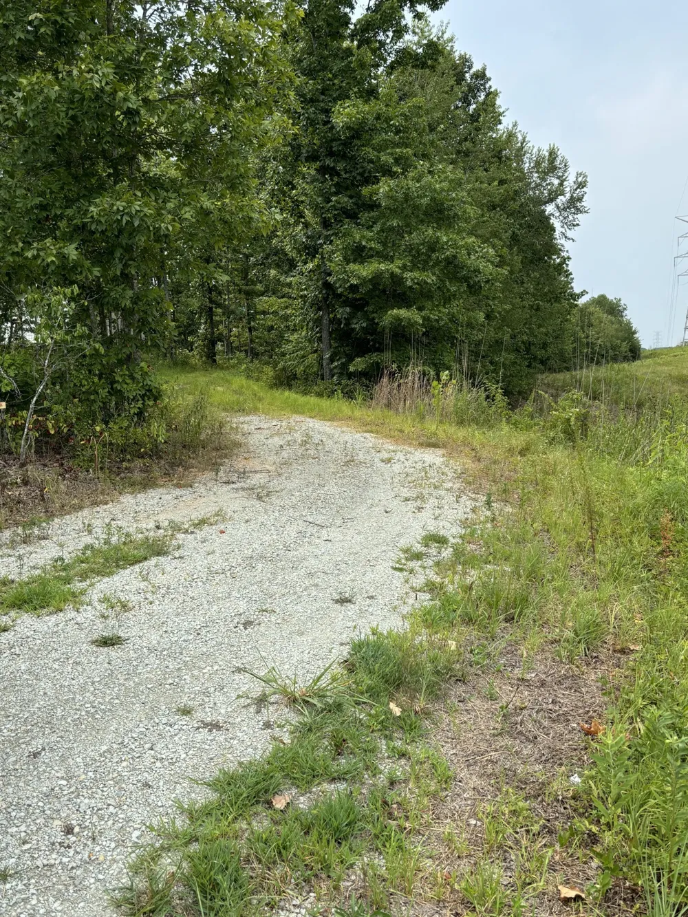 257 Saddlebrook Dr Hohenwald, TN 38462