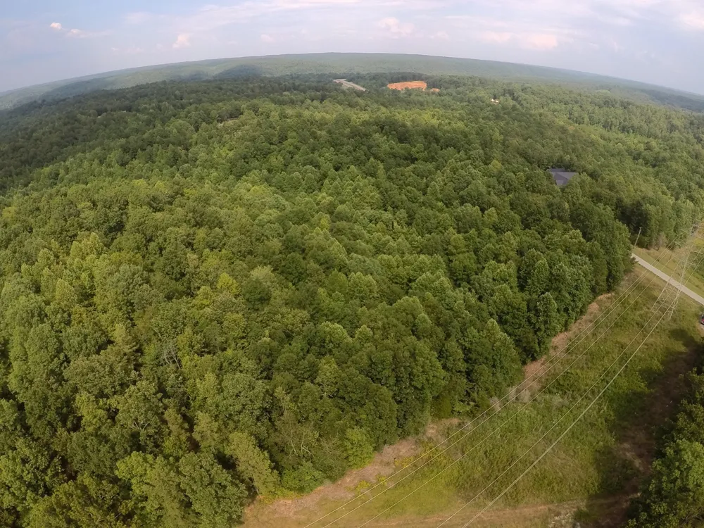 257 Saddlebrook Dr Hohenwald, TN 38462