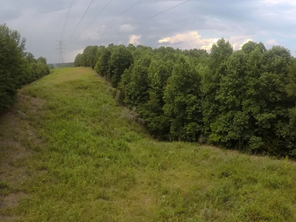257 Saddlebrook Dr Hohenwald, TN 38462