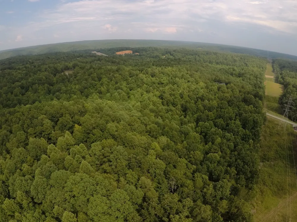 257 Saddlebrook Dr Hohenwald, TN 38462