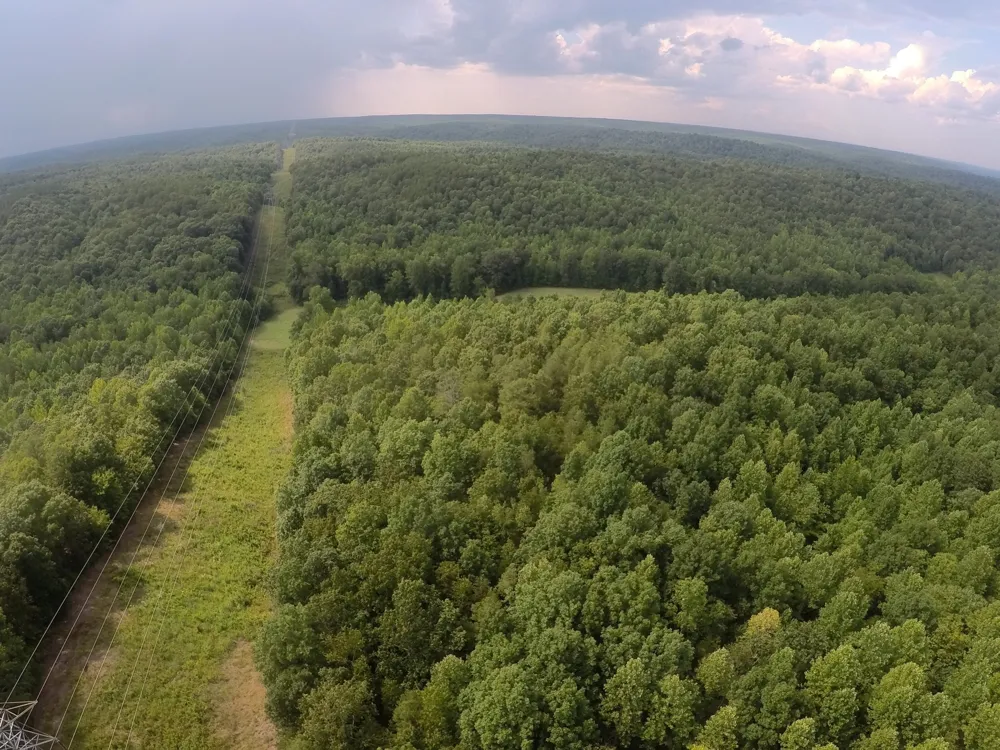 257 Saddlebrook Dr Hohenwald, TN 38462