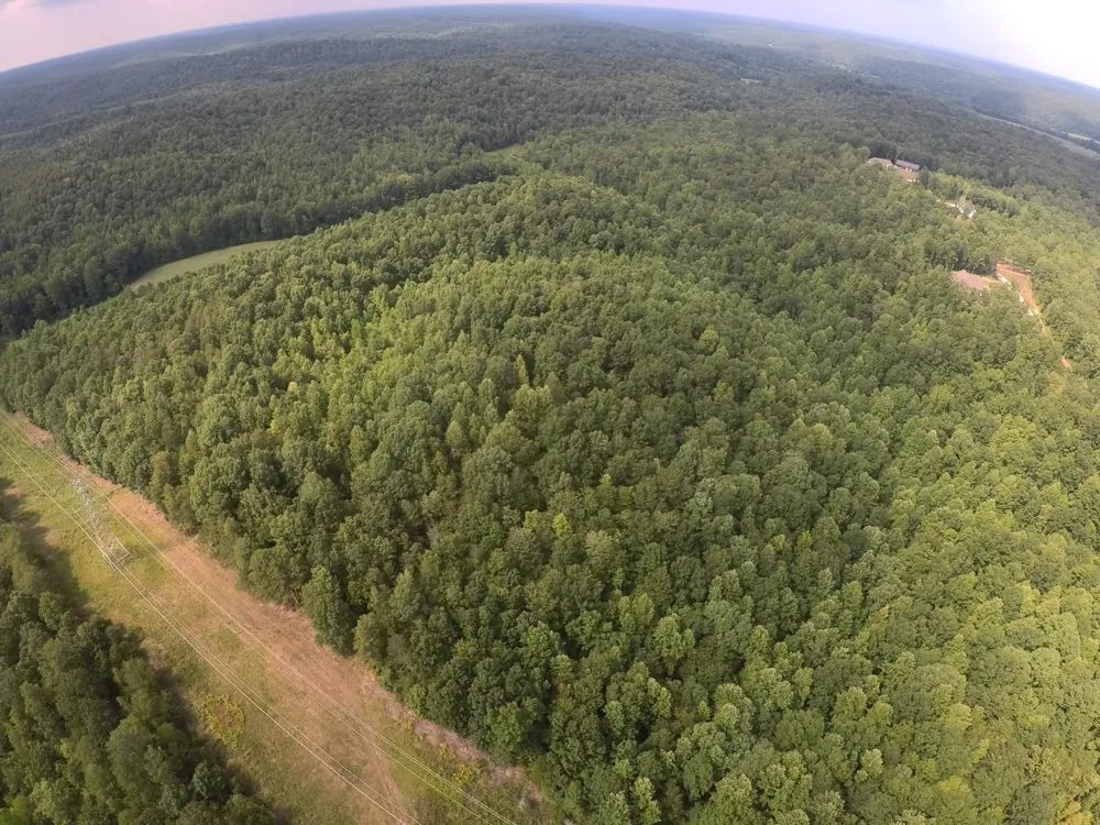 257 Saddlebrook Dr Hohenwald, TN 38462