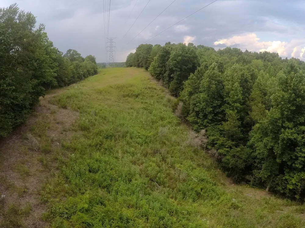 257 Saddlebrook Dr Hohenwald, TN 38462