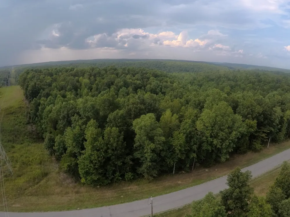257 Saddlebrook Dr Hohenwald, TN 38462
