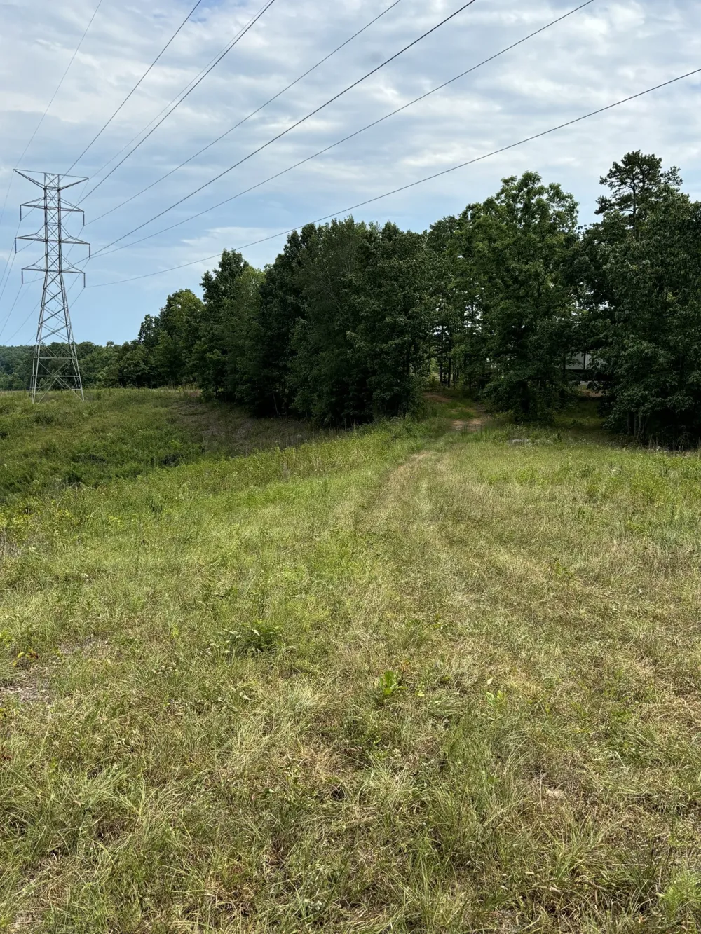 257 Saddlebrook Dr Hohenwald, TN 38462