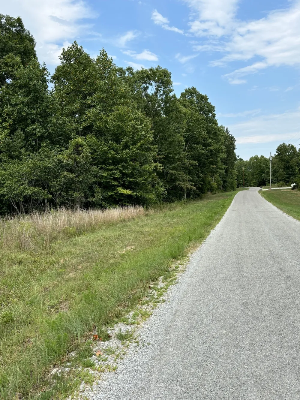 257 Saddlebrook Dr Hohenwald, TN 38462