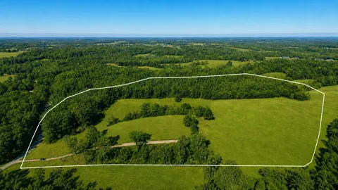 5221 County Road 50