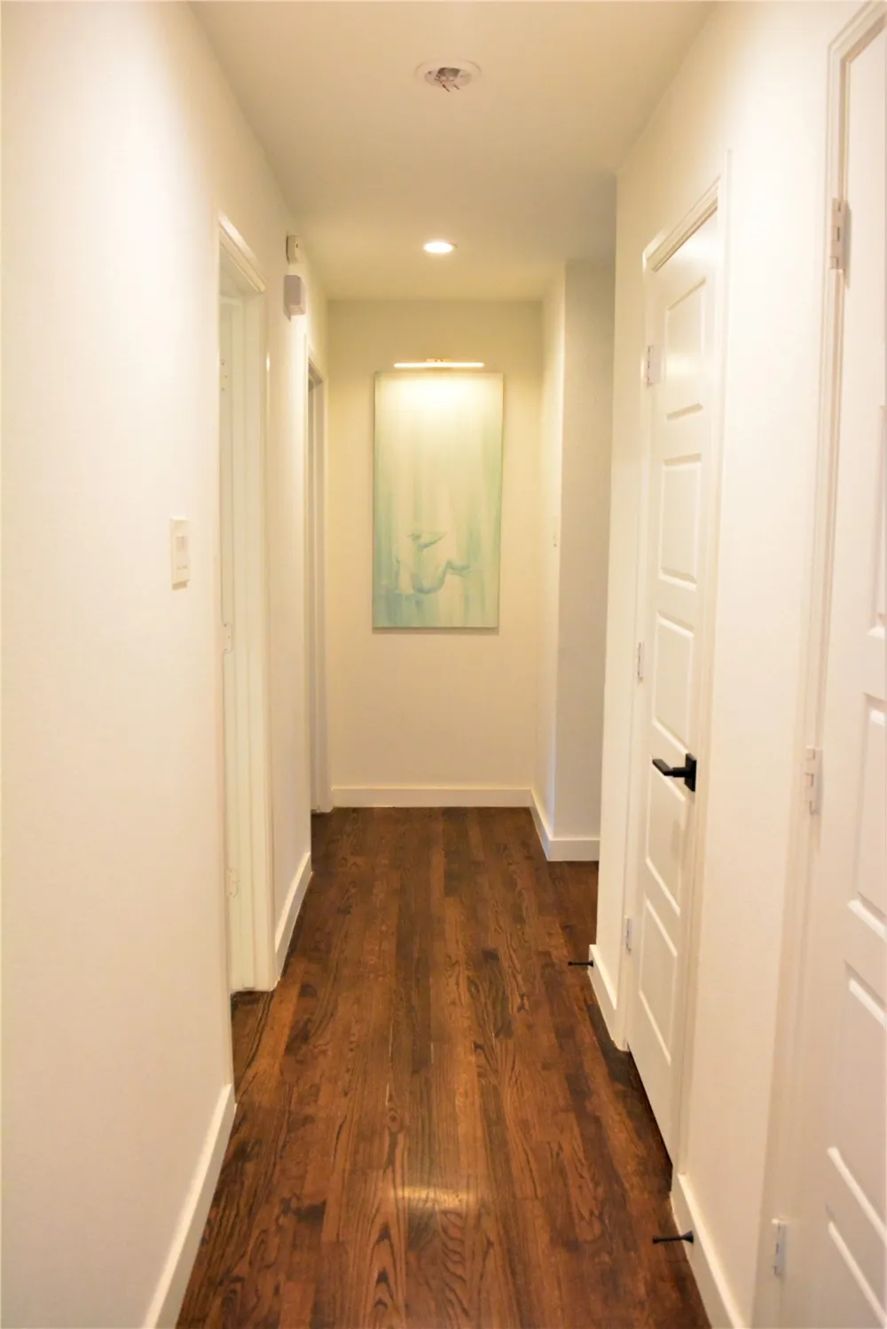 2903 Healey Drive Dallas, TX 75228