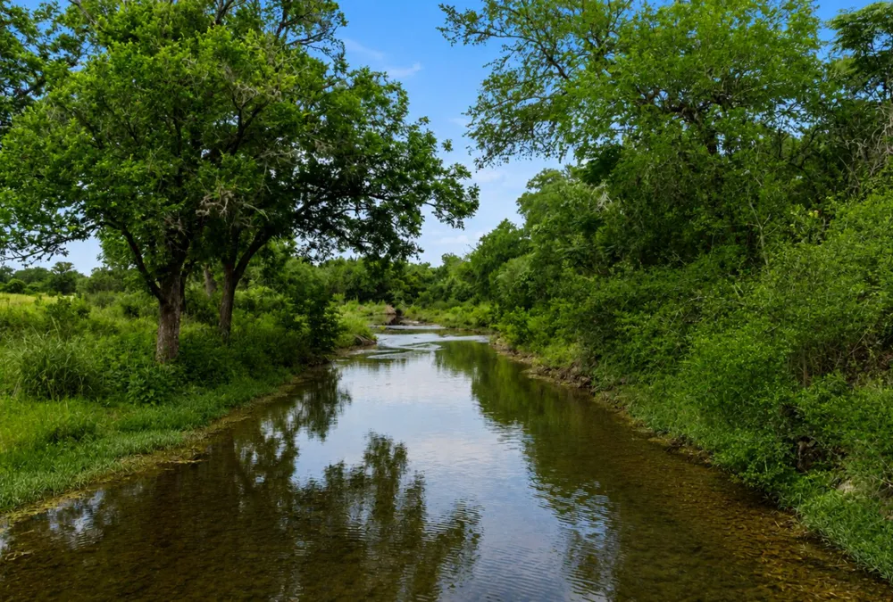 14440 Nutty Brown Road Austin, TX 78737