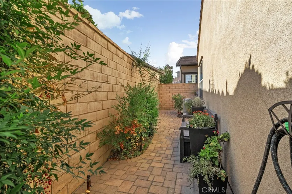 229 Buena Vida Brea, CA 92823