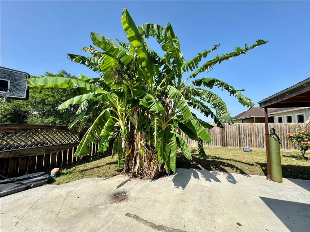 1521 Seabreeze Street Alice, TX 78332