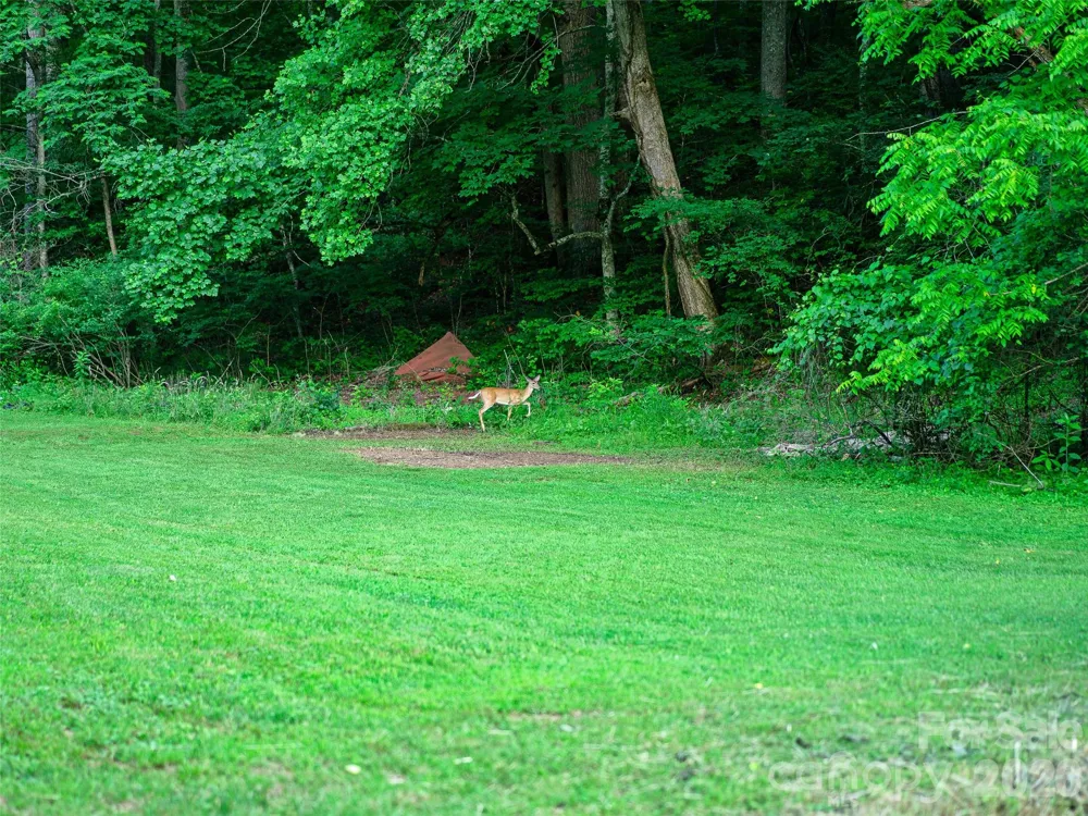 232 Langford Branch Road Burnsville, NC 28714