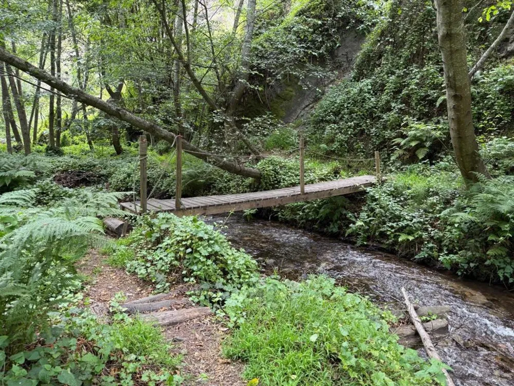 39350 Coast Road Big Sur, CA 93920
